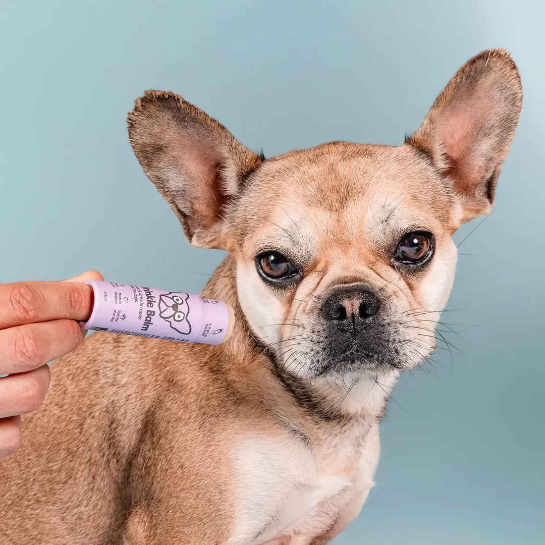 Purple cylindrical container of Butch Wrinkle Balm for dogs on a light purple background