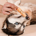 Person holding a tube of pet product above a dog's nose