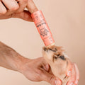 Person applying a pink paw balm to a dog's paw on a beige background