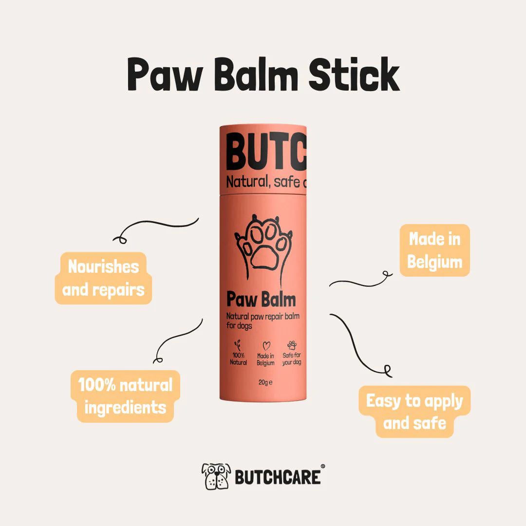 Display box of Butchcare dog balms with colorful packaging and a dog image on the lid.