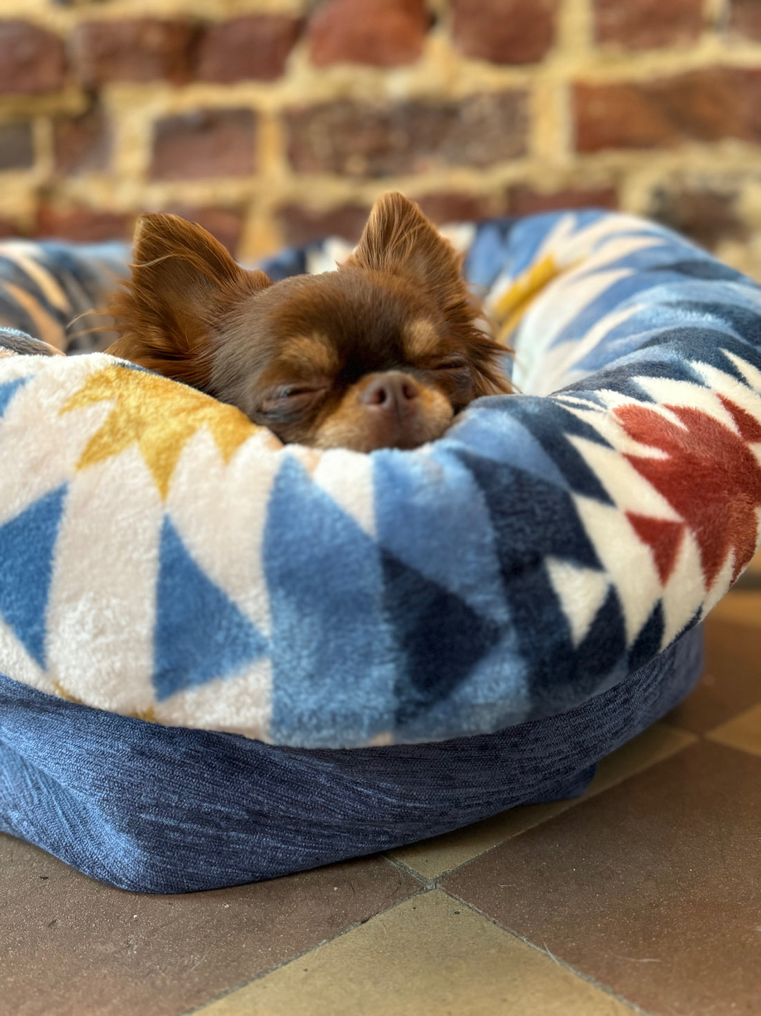 Small dog resting on a colorful geometric-patterned pet bed against a brick wall.