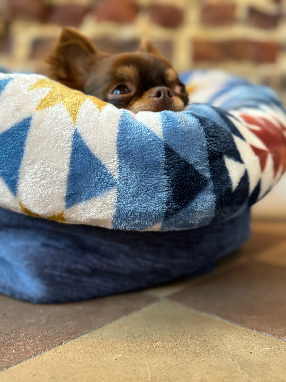Dog lying on a patterned dog bed with a brick wall in the background