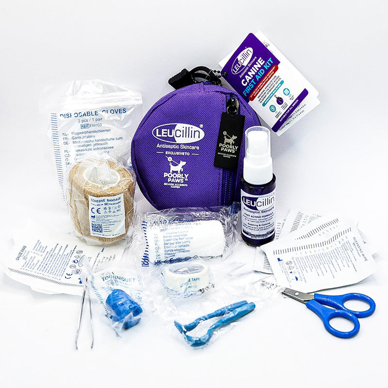 Pet first aid kit with various components on a white background