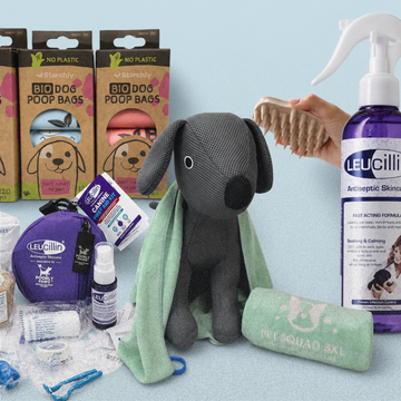 Leucilli dog care kit with a gray plush dog figure wrapped in a mint towel, a purple Leucilli antiseptic skinning bottle, a hand holding a wooden comb, poop bags in boxes, a purple pouch, a small bottle, and other accessories on a light blue background.
