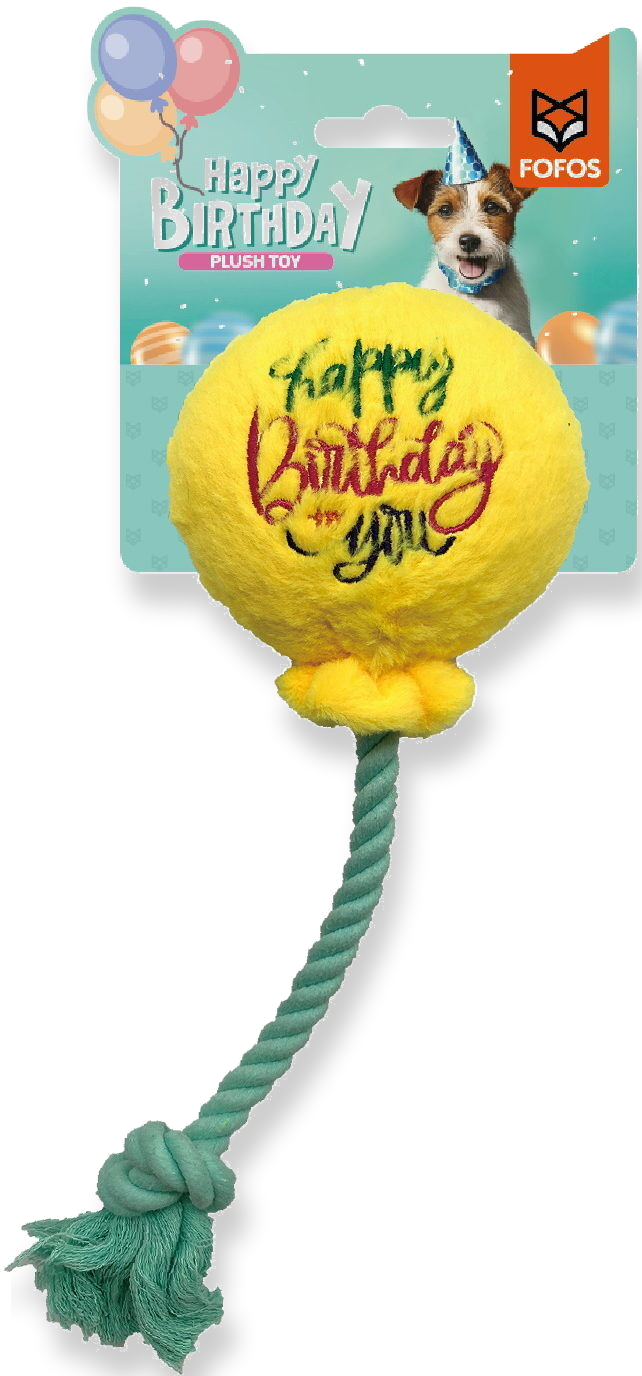 Dog with birthday-themed toys on a white surface
