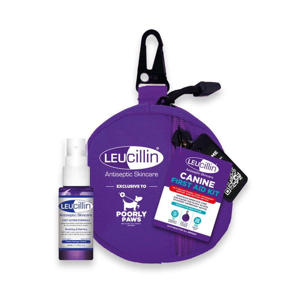 LEUCILLIN canine first aid kit with purple bag and bottle on a white background