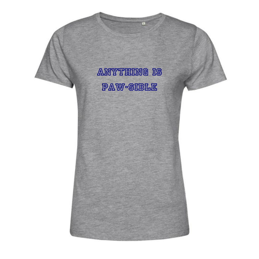 A heather gray short-sleeve crewneck t-shirt with the text 'ANYTHING IS PAW-SIBLE' printed in blue across the chest, displayed on a solid white background.
