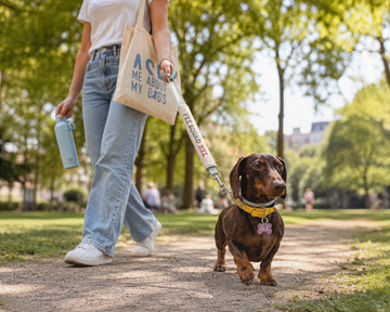Dachshund on a summer park walk with a Pet Squad BXL water bottle, tote bag and dog leash sleeve.