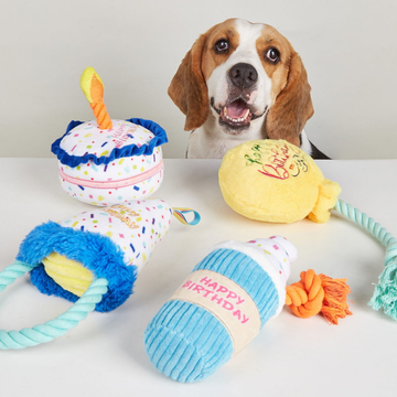 Dog with birthday-themed toys on a white surface